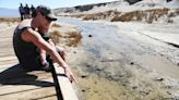 Colorado River: Bill would allow killing of rare pupfish, desert birds to get deal done