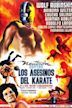 Neutrón vs. los asesinos del karate