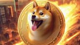 Shiba Inu Coin Rockets as Burn Rate Skyrockets 1000% Amidst Market Rally - EconoTimes