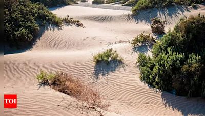 World Sand Dune Day; Sand Dune spots for each zodiac sign - Times of India