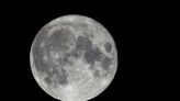 Full moons, supermoons, blue moons and a meteor shower. When to see them all in August