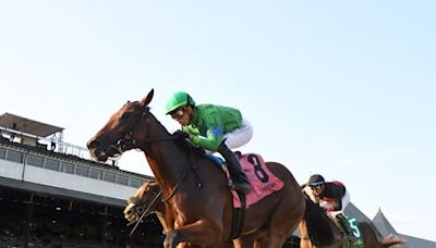No Catching Complexity's Mo Plex in Sanford Stakes
