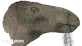 Isle of Wight: 'Most complete' dinosaur named after finder