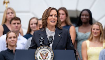 Fact Check: Kamala Harris Is Eligible to Run for US President, Despite Parents Being Foreign-Born