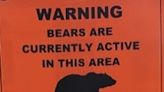 Custer Gallatin National Forest closes several areas due to bears