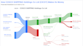 COSCO SHIPPING Holdings Co Ltd's Dividend Analysis