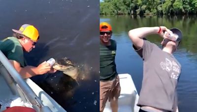 Florida man goes viral using an alligator to open a beer can - Dexerto