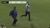 Vídeo: guaxinim invade campo e jogo da MLS é paralisado por quatro minutos | Esporte | O Dia