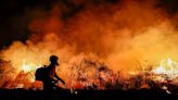 Incendios en Brasil devastaron el Pantanal y zonas amazónicas - El Diario - Bolivia