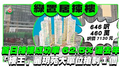 綠置居2023首日揀樓成功率下跌 「樓皇」麗玥苑646呎單位成焦點