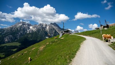 80 Milliarden Euro: Reiseverband hebt Umsatzprognose für laufendes Reisejahr an