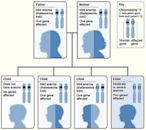 Beta thalassemia