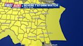 Grab your umbrella: Severe thunderstorm watch in effect