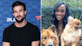 Bryan Abasolo Walks Ex Rachel Lindsay’s Dogs Amid Latest Divorce Drama