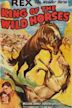 King of the Wild Horses (1933 film)