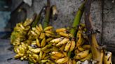 Rotten Bananas in a Scorching India Expose Climate's Food Cost