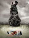 Virunga (film)