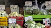 Top headlines: Ottawa launches plan to stabilize food prices