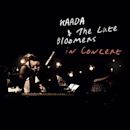 Kaada & The Late Bloomers in Concert