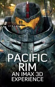 Pacific Rim (film)