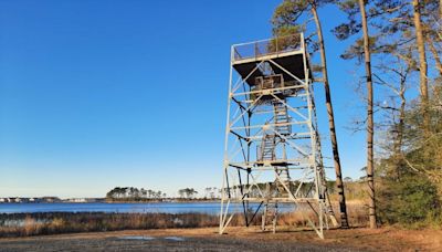 The 5 best places for summer hiking in Delaware