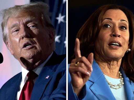 First Donald Trump/Kamala Harris Debate Set for Same Night as 2024 VMAs