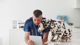 Council Post: Using AI To Augment Veterinarians Capabilities And Improve Pet Care