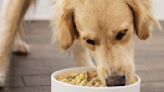 The Fresh Dog Food Brand That Reviewers 'Enthusiastically Recommend' Is Having a Huge 50% Off Sale in Honor of Mother's Day