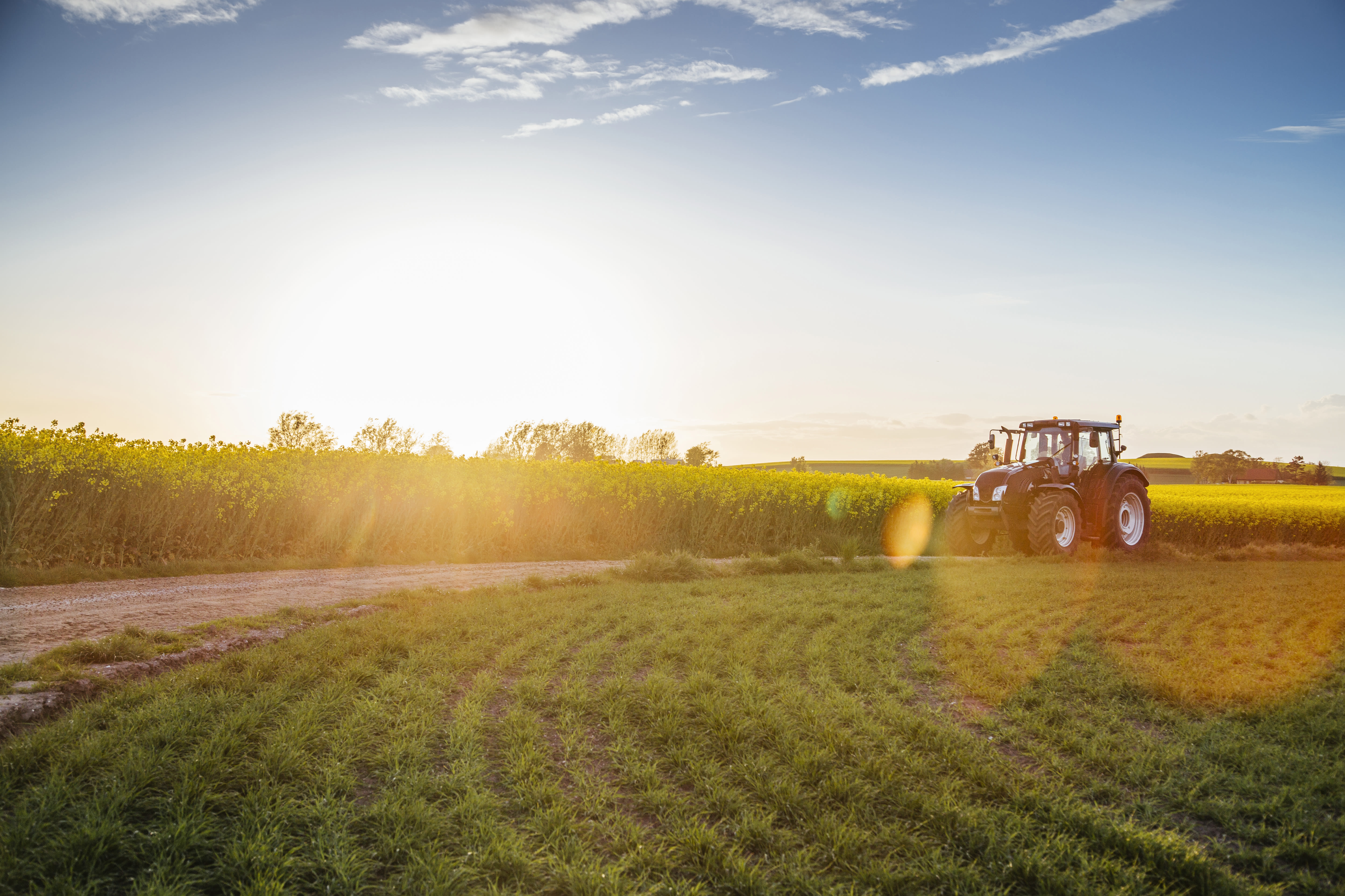 A Battle Over a Farm, a Mosque and the Moral High Ground