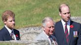 King Charles, Prince William 'shunning' Prince Harry after royal attempted to make amends: expert