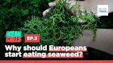 The ick-effect and lack of investment: the challenges of the European seaweed industry