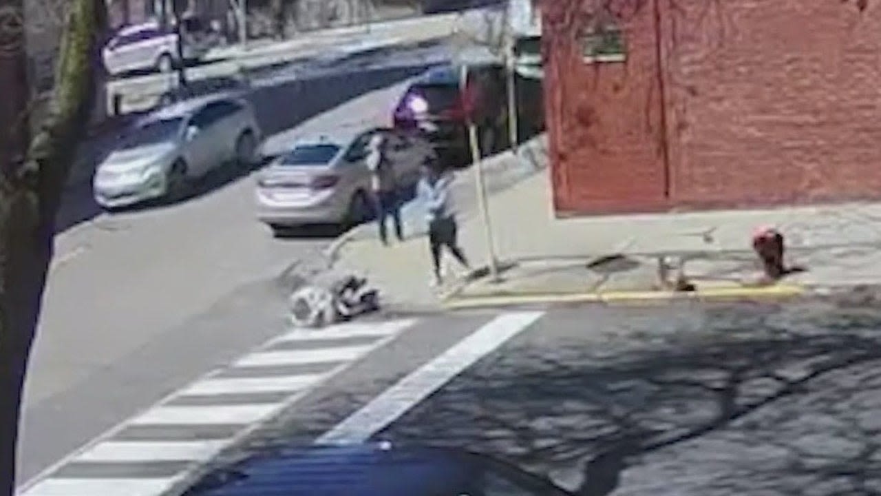 'Why?!' COPA releases video of off-duty Chicago cop shooting dog in head