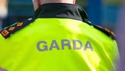 Man dies in workplace incident in Offaly - Homepage - Western People