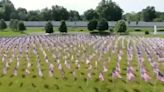 1,000 US flags set up at Arlington Memorial Gardens