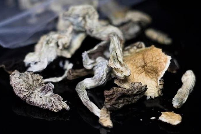 Psilocybin outperforms other treatments in easing depression in study