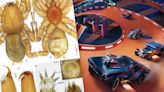 Newly Discovered Spider Species Named After Hot Wheels for Its Weird Genitals