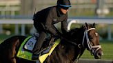 Forte is early favorite in very competitive Belmont Stakes