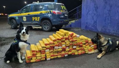 Homem é preso transportando 200kg de maconha em Osório