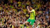 Preview: Standard Liege vs. Norwich - prediction, team news