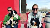 Paws & Pints, a canine retreat with a park, vet and bar in Des Moines, prepares for launch