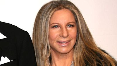 Barbra Streisand's Iconic Ice Cream Makes Instant Coffee The Star