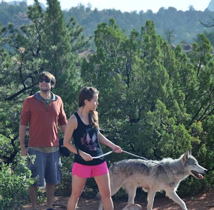 Colorado Wolf Adventures Woodland Park Yahoo Local Search Results