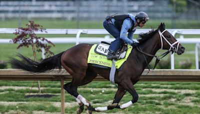 Post positions drawn for Kentucky Derby and Kentucky Oaks. See the full fields with odds.