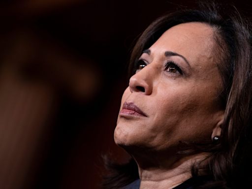 Kamala Harris is the ‘perfect’ candidate to beat Trump, presidential historian says