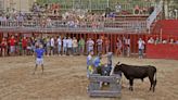 Carlet recuperará los festejos taurinos con críticas de Compromís