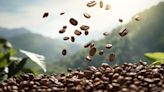 Producción de café en Colombia creció a junio y llegó a cifras no vistas desde 2021