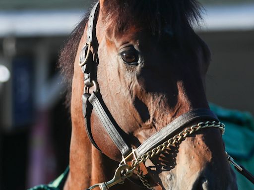 2024 Kentucky Derby weather: Churchill Downs forecast for Saturday's race