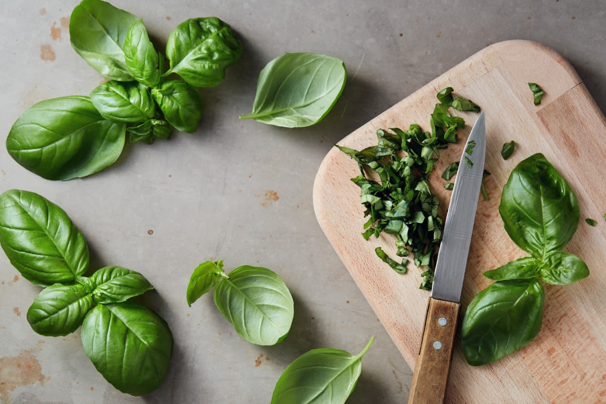 FDA Investigating Salmonella Outbreak Tied to Trader Joe’s Basil Sold in 29 States