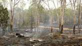 Los bomberos logran controlar uno de los incendios más graves que asolan el este de Australia