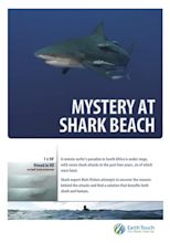 Mystery at Shark Beach streaming: where to watch online?